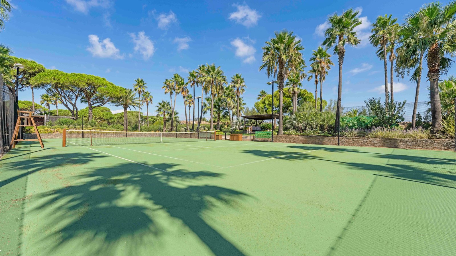 Court de tennis entouré de palmiers